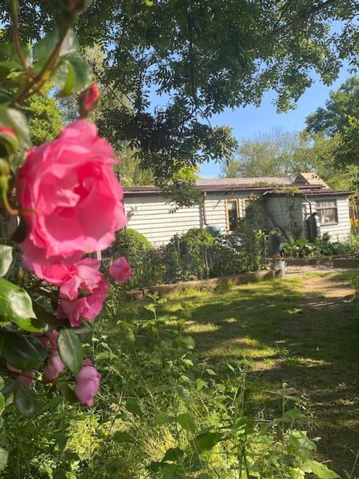 The Nutshell. Rural Retreat Villa Pluckley Exterior photo